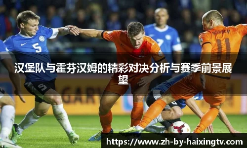 汉堡队与霍芬汉姆的精彩对决分析与赛季前景展望